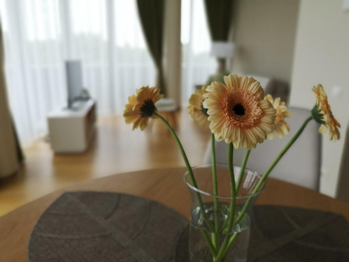 דרוסקינינקאי Luxury Apartments מראה חיצוני תמונה